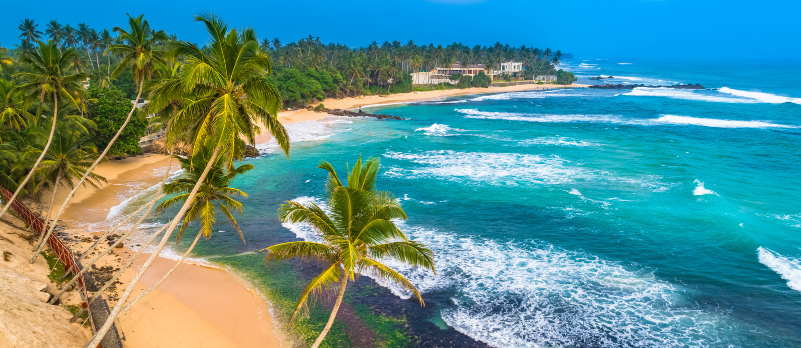 Untitled design (20)